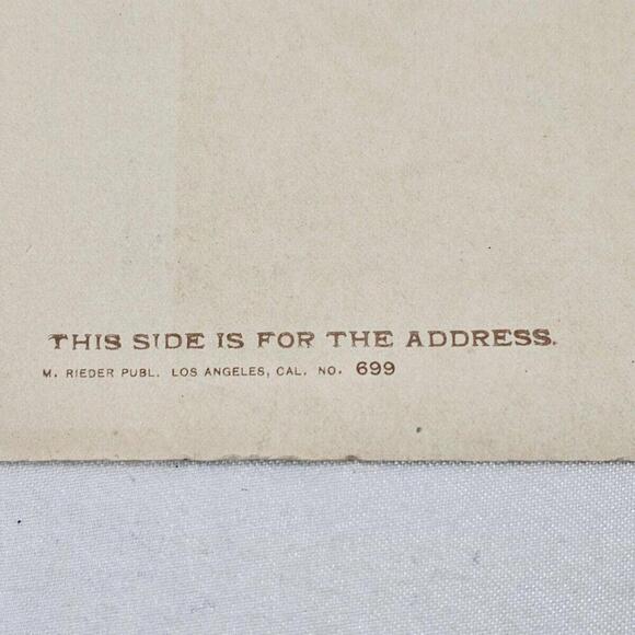 Antique 1920s Post Card Of Mount Lowe Roat To Alpine Tavern California LA - Picture 7 of 7